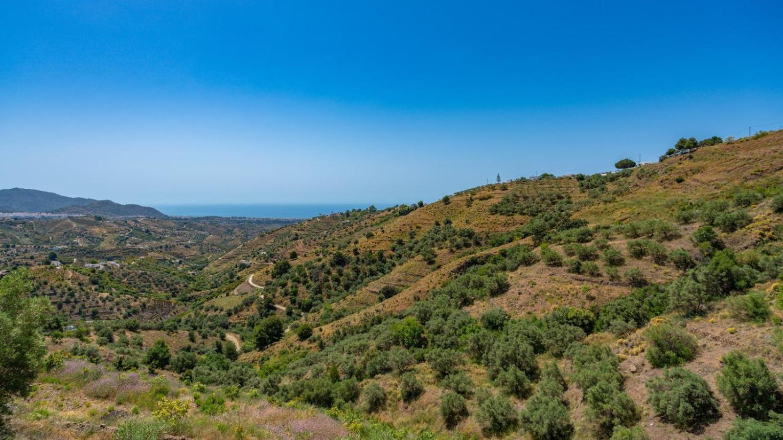 Vila Cortijo El Mirador Frigiliana By Ruralidays Exteriér fotografie